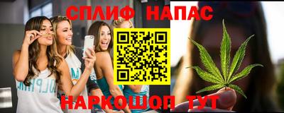 mdpv Можга