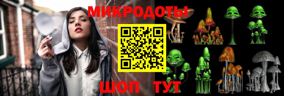 Ухта  Псилоцибиновые грибы прущие грибы  Вход с VPN 